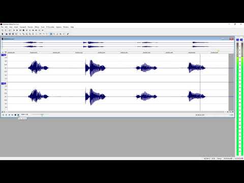 SOUND FORGE Pro 12 – Editing essentials (2019)