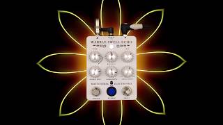 Video thumbnail for The Warble Swell Echo by Mattoverse Electronics by mattoverse