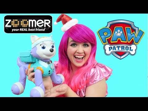 PAW Patrol Zoomer Everest | TOY REVIEW | KiMMi THE CLOWN Video