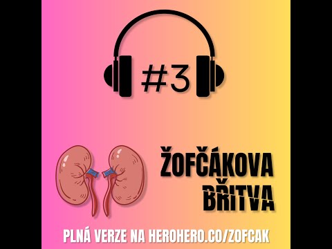 #3 Když peníze nehrají roli: Ekonomie darování ledvin (teaser)