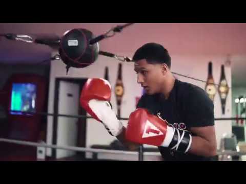 TITLE SPIDER BAG - TITLE Boxing - Boxing Training Equipment