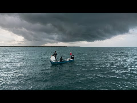 Cold Front Came Early | Fish & Lobster Harvest | CCC