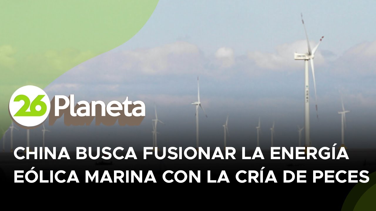 China busca fusionar la energía eólica marina con la cría de peces