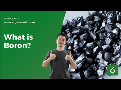 What is Boron? | Sigma Earth