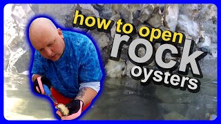 How to open rock oysters, and where to find them