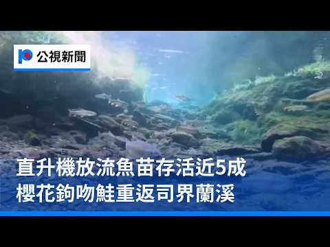 youtube影片