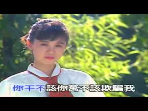 黃乙玲 摸心肝想看覓