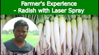 Download lagu RADISH farmer s Experience of using Laser Spray... mp3