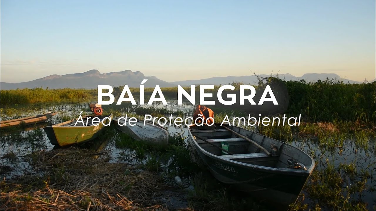 Área de Proteção Ambiental (APA) Baía Negra - Plano de Manejo