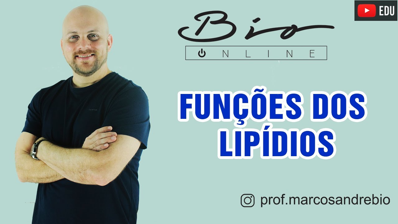 FUNÇÕES DOS LIPÍDIOS