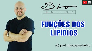FUNÇÕES DOS LIPÍDIOS