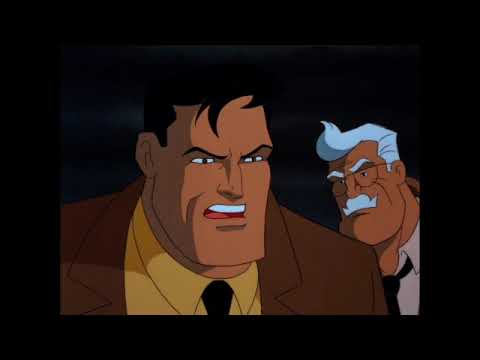 Batman The Animated Series: The Strange Secret of Bruce Wayne [5]