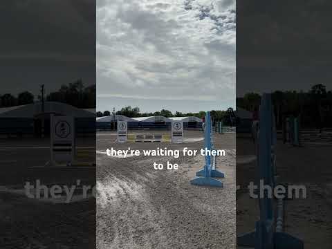 Skylar x Astrid 💎upcoming duo #horse #equestriansport #horses #equestrian #hunterjumper #showjumper