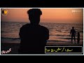Sari Naseeba Diya Khel Song Status Saraiki Song Status Status Video