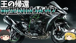 性能下がった？だからなに？スーパーバイクの王は「美術品」として帰還する【ゆっくり解説】