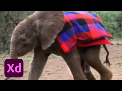 Live UI/UX Design with Lauren Watters - 3 of 3 | Adobe Creative Cloud