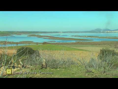 Aves de la Gran Senda de Mlaga. Etapas 1 a 18 (de Mlaga a Campillos)