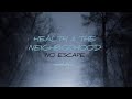 health & the neighborhood - no escape , مترجمة للعربية