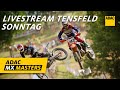 ADAC MX Masters 2024 Tensfeld - Livestream Sonntag