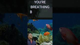 Download lagu MOST OF YOUR OXYGEN DOESN’T COME FROM TREES mp3