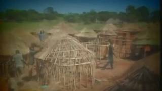 Africa Music Video