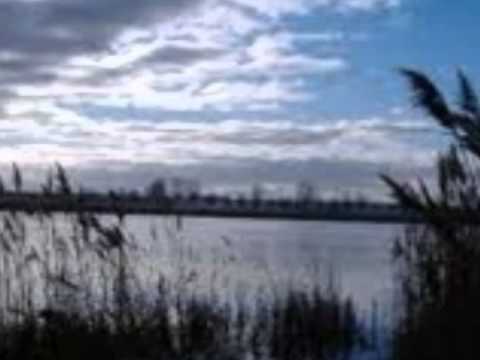 Andrzej Saciuk - "Dzwony" - Ludomir Różycki