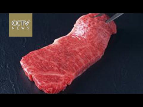 【動画】中国で肉を買った女性「なんでこれ動いてるの…？」衝撃の事件 - ポッカキット