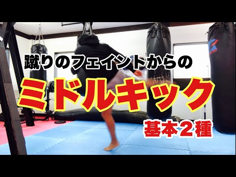 【実No.58】蹴りのフェイントからのミドルキック！基本２種【キックボクシング実戦テクニック】