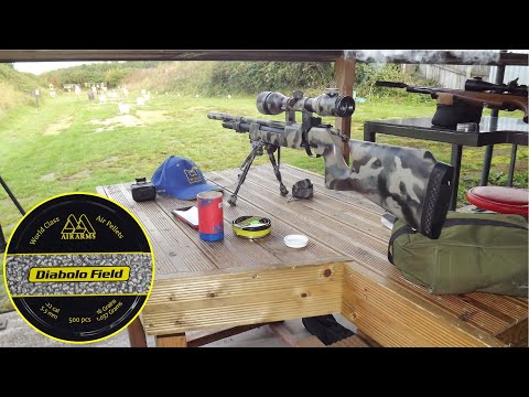 The Air Arms S200 and Air Arms Diabolo Field at 30 yards