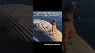 Never Play On A Dead Whale… (Explosion) ☠️ #dangerous
