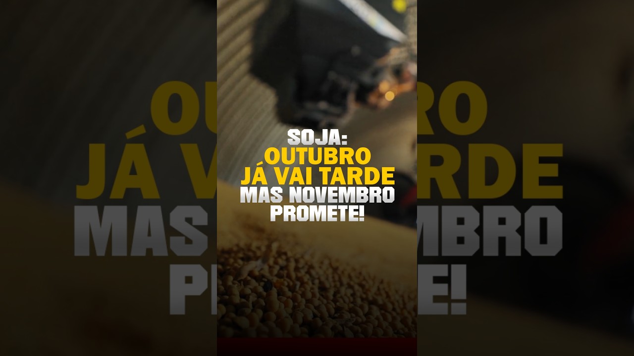 SOJA: OUTUBRO JÁ VAI TARDE, MAS NOVEMBRO PROMETE!