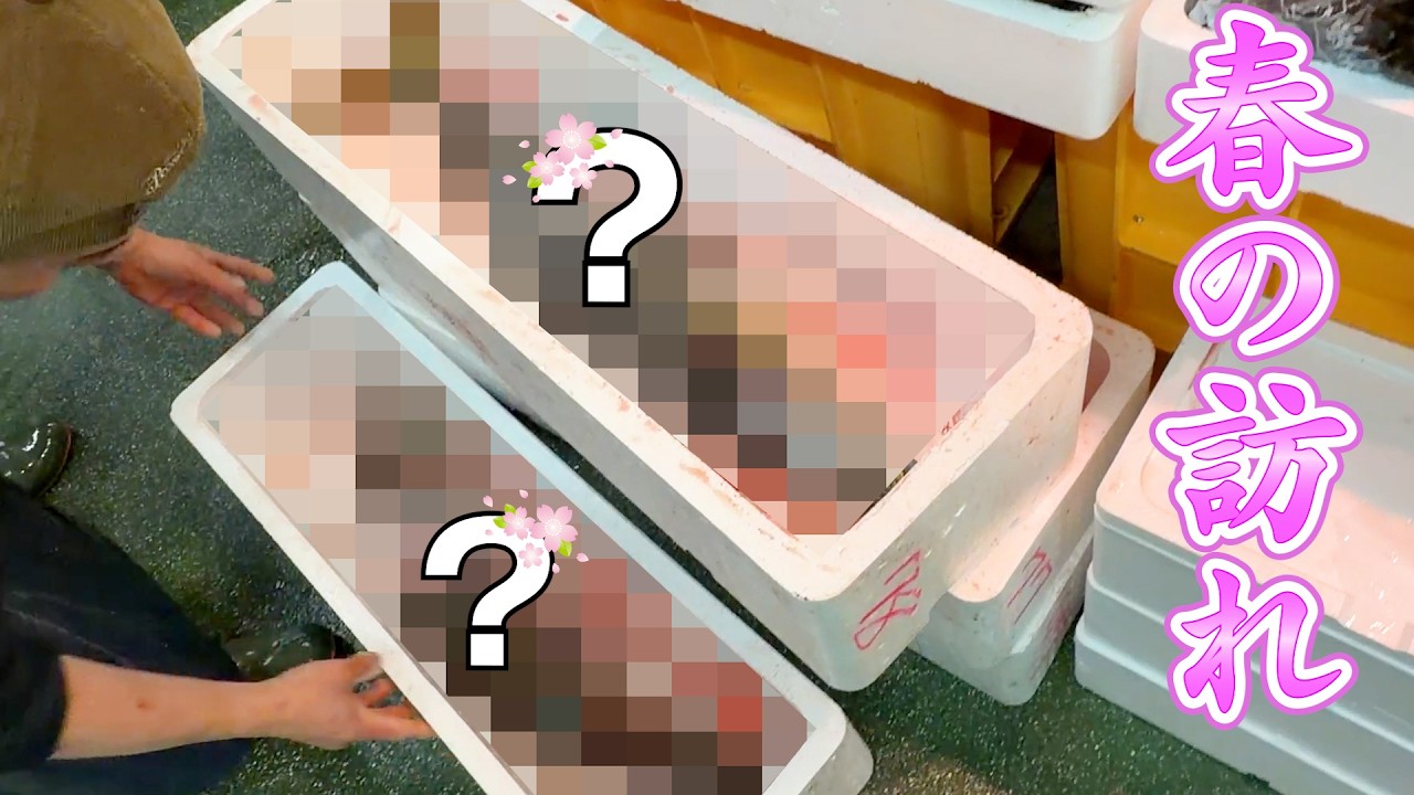 市場に春がやってきました