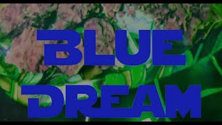 Blue Dream - Bulldogg (Official Music Video)