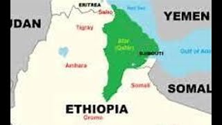 The Afar people of the kingdom of Aussa: a Muslim people in danger. Benhalima Abderraouf