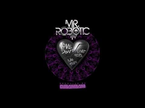 Love Dont Live Here No More ft Dj Bam Bam - Mr.Robotic