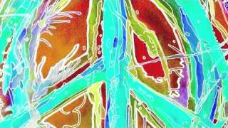 Indidginus - Spiritual Spearmints