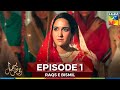Raqs E Bismil Episode 1
