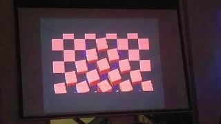 Second Life Syndrome Demo by Lamers group in SillyVenture 2k19