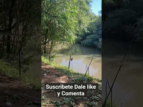 en el puente viejo(＾▽＾)#itacaruare#misiones