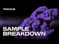 Sample Breakdown Pharoahe Monch Simon Says