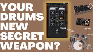 Video thumbnail for A New Moogerfooger | The MF-109S Saturator by Tiger Arcade