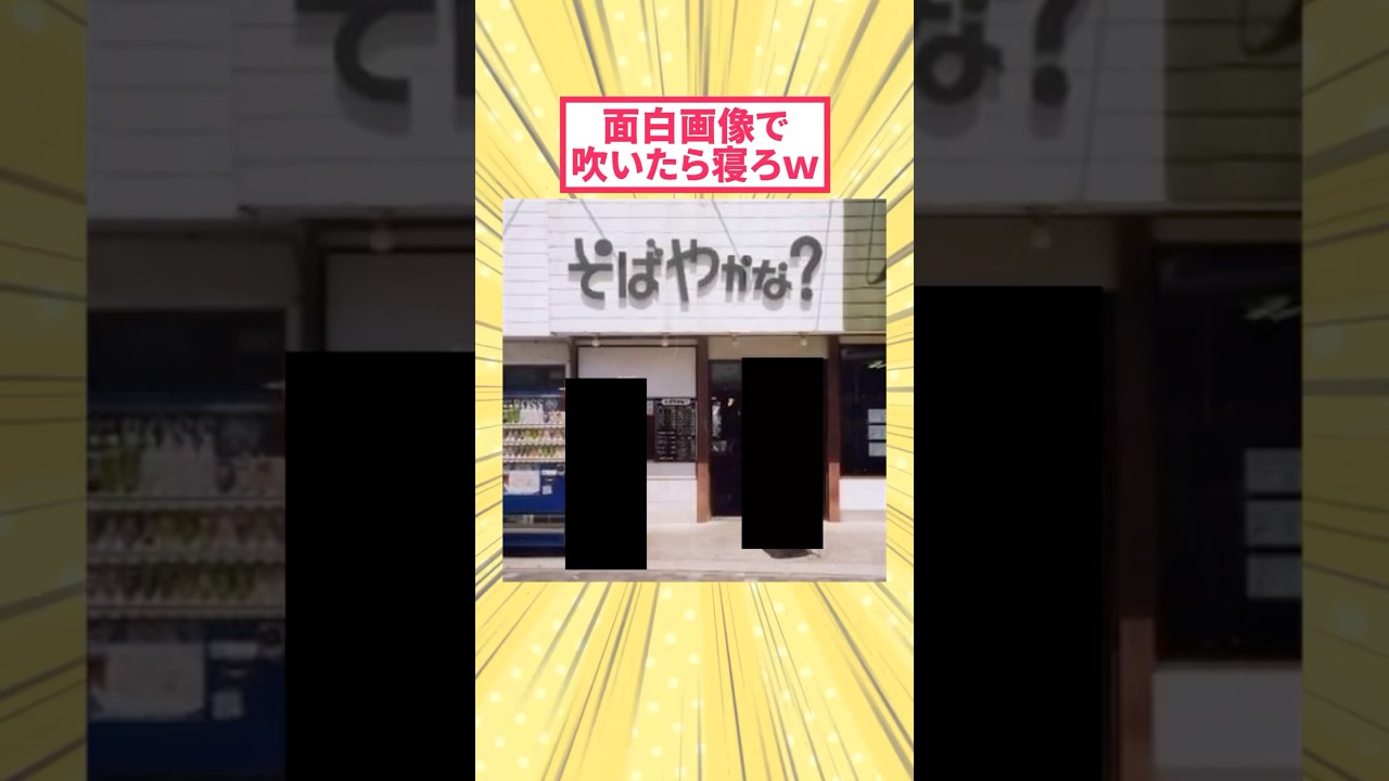 面白画像で吹いたら寝ろwww