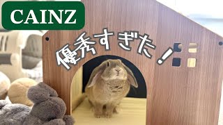 【カインズ】犬猫用ペットハウスが優秀すぎ！うさぎも住みついた？