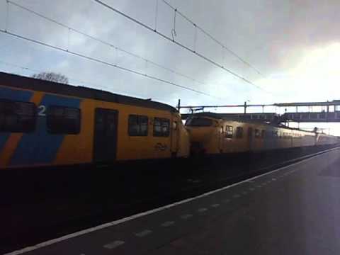 3x NS MAT 64 hondenkop door lage zwaluwen