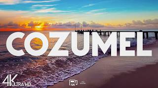 Top 10 Best Things to Do in Cozumel, Mexico - Travel Guide 2026
