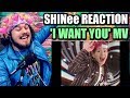 SHINee 샤이니 'I Want You' MV | I'M 100% A SHAWOL NOW! | REACTION!! SHINee 샤이니 'I Want You' MV | I'M 100% A SHAWOL NOW! | REACTION!!