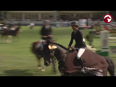 Pferd International München 2019