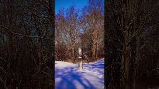 Muncie Indiana Cardinal Greenway, 14” of #snow !
