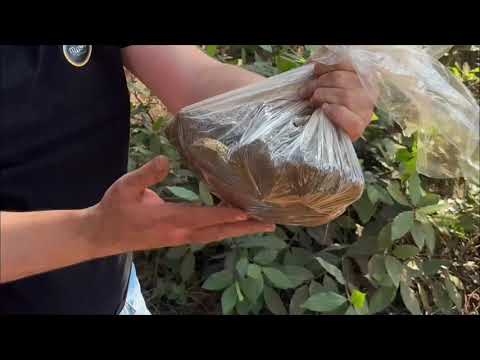 Epic GOLD RADAR Test on Gold Buried for 10 Years! 😱💰