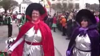 preview picture of video 'Cortège 2014 Samedi (2) Carnaval Malmedy'